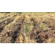 Krtek - cultivateur agricole - Farmet a.S - largeur de travail 2200 à 4400 mm - profondeur de travail 40 à 60 cm_4