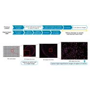 Solution d'imagerie Nikon avec grande capacité de pixels pour la reproductibilité des expériences