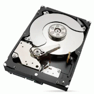 Seagate IronWolf Pro ST4000NT001 disque dur 4 To 7200 tr/min 256 Mo 3.5