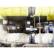 Système anti-calcaire électronique Vulcan X-Pro 1 - traitement écologique pour canalisations jusqu'à 30