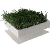 Lettres et logo végétales 3D en polystyrène - Lettres, Violet, Herbe synthétique pour l'intérieur et l'extérieur_3