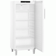 Armoire réfrigérée positive ventilée GN2/1 et HACCP - 419 L | Liebherr FRFvg 5501 Performance_4