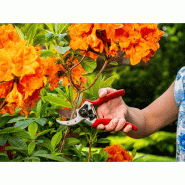 Sécateur à lame franche r60 21,5 cm – MTF – 18 mm – 1zst4177_4