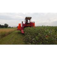 Récolteuse à baies VICTOR - Weremczuk - automotrice, productivité 0,3 à 0,6 ha/h - vitesse max 2 km/h_4