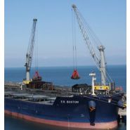 Grue Liebherr LPS 600 pour manutention efficace sur 58 mètres