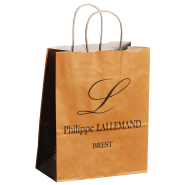Sac poignée papier torsadé - 100% recyclable - 90 à 110 gr - parfait pour bijouteries, pâtisseries, caves, brasseries, selleries, magasins de prêt-à-porter et cosmétiques_4
