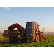 Arracheuse par préhension ZKIIS - Dewulf BV - productivité 3 à 4 ha/j - largeur totale 3290 mm - automotrice à 2 rangs avec élévateur de décharge_4