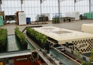 Convoyeur de tri Javo JOR - rapide et efficace pour pots et plateaux - capacité jusqu'à 3000 pots/heure_4