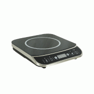 Plaque induction 2000w l293 7020.0125 COMBISTEEL_4