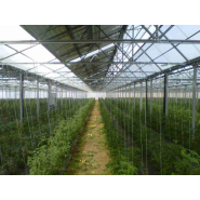 Serre photovoltaïque à faîtage droit et double pente - Multisunart_4