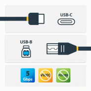 StarTech Cble USB-B vers USB-C de 2m, USB 5Gbps_4