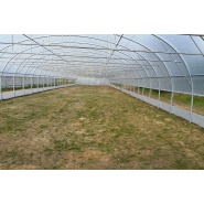 Serre agricole avec arceaux en acier sendzimir Ø60 mm