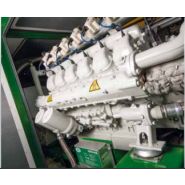 Patruus - Groupe électrogène industriel 50 à 64 kW - 2G Énergie SAS - Technologie robuste et modulaire_4