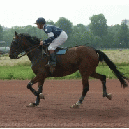 Sables pour travaux de remblaiement