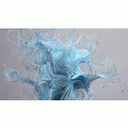 Philips 1000 series 24E2N1110/00 écran plat de PC 60,5 cm (23.8