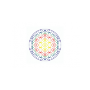 Verre à onde de forme et fleur de vie - sans plomb - Verre revitalisant en borosilicate_4