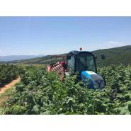 Récolteuse à framboises NATALKA - WEREMCZUK - productivité 0.1 à 0.15 ha/h - puissance minimale requise 35 HP_4