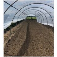 Magnum - Serre tunnel professionnelle Natural - largeur 4m, structure renforcée pour cultures sur ficelles_4