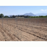 Planteuse Vinomatos Révolution pour plantation en un seul passage