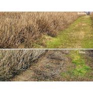 Taille-haie hydraulique de baies former - jagoda jps_4