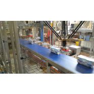 Encaisseuse multi formats Top Load - Robots Pick and Place - 40 caisses/minute - Pupitre IHM 12''_4