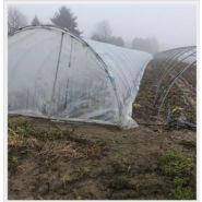 Tunnel agricole démontable à structure rigide et résistante