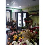 Distributeur DAPSNEO avec peinture haute résistance