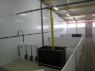 Beta panneaux PVC - Agriest élevage - Cloisons temporaires résistantes et hygiéniques_4