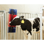 Brosse murale en polyamide - hauteur 5 cm - idéale pour étables - nettoyage et soin du poil_4