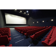 Fauteuil de cinéma relevable - dossier galbé ergonomique - Inertie Caisson / Kleslo - confort et technicité_4