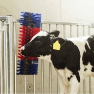 Kerbl brosse à gratter pour bétail 50 cm 293100 423473_4