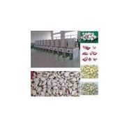 Ygm-bl - Éplucheuse industrielle à ail - Yogemann Machinery - Poids net 120 kg - Haut rendement et taux de pelage 98%_4