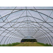 Serre à travée unique  idéale pour les agriculteurs et les amateurs - Tunnelart_4