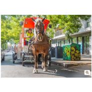 Gamme athéna - cache-conteneurs et abris poubelle - viva cite - en métal_4