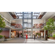 Ascenseur remplacé pour un fonctionnement sensiblement plus confortable et plus silencieux - Schindler RePlace_4