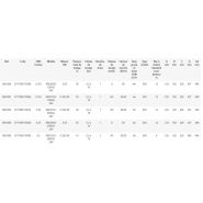 Palan électrique à chaîne REMA série SR - 3 m de levée - haute performance et sécurité - Rema Holland B.V._4