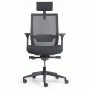 Fauteuil ergonomique ergo