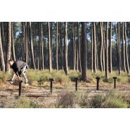 Saute-mouton -  parcours sportif - Gamme Parcours santé_4