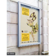 Vitrine d'extérieur sobre et discrète - Épaisseur 58mm - Idéale pour bâtiments publics et culturels - CLASSIQUE_4