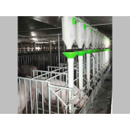 Matériels et installations de distribution d'aliments en élevage - aménagement des salles et distribution par vis souple, chaîne à pastille et bi-phase_4