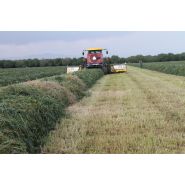 RT 840 - Andaineur à tapis ROC SRL - largeur de travail variable de 5,9 m à 8,35 m avec double balancier hydraulique_4