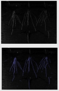 Phenoaixpert - phénotypage - lemnatec_4