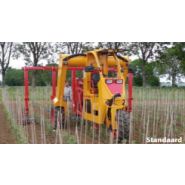 Tracteur enjambeur 3 roues - Damcon Multitrike - adapté aux cultures en lignes étroites_4