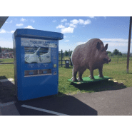 Distributeur automatique  de plateau repas_4