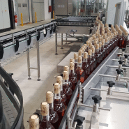 Convoyeur à chaîne en inox, motorisation classique / movimot / movigear pour l'agroalimentaire, le pharmaceutique et la cosmétique - cms_4