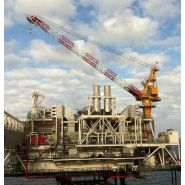 Bos 2600 - Grue portuaire offshore Liebherr - Capacité de levage max 100t - Portée max 60m_4