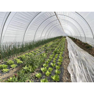 Serre tunnel  à travée unique - Montage et démontage rapides - conçue pour la Production horticole - Tunneleasy_4