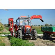 Récolteuse à carottes Alina Eco II - Weremczuk - 0,06 à 0,10 ha/h - 75 ch - légumes racines_4