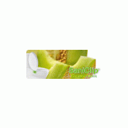 Uriwave saniclip destructeur d'odeurs parfum concombre melon bloc de 45g_4