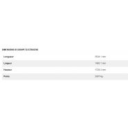 Dg250 gc (triphasé) groupes électrogènes industriel à gaz - caterpillar -  classification gaz naturel 250 kw_4